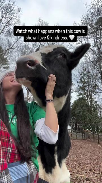 @Hidden Acres Animal Sanctuary