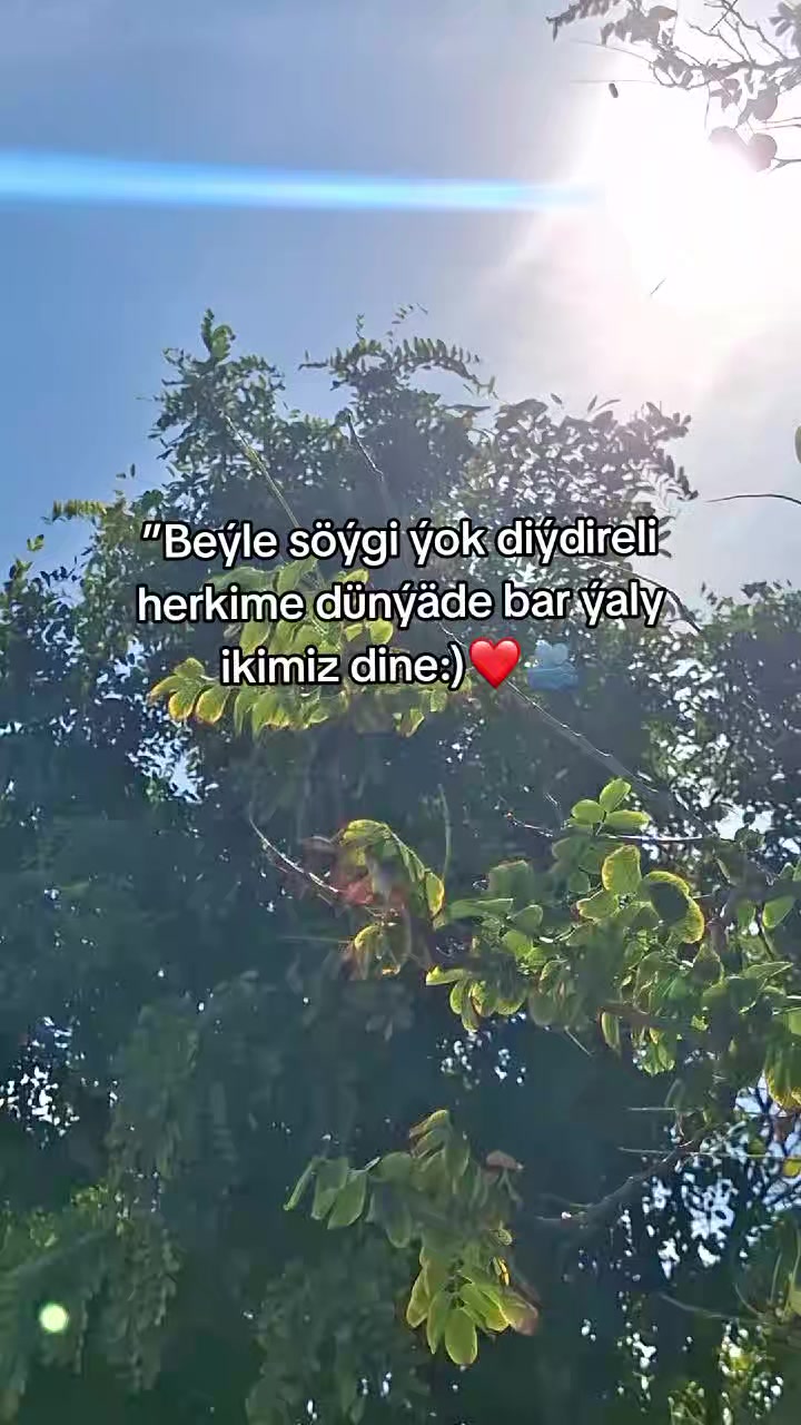 @𝙂𝙖𝙯𝙖𝙠𝙊𝙁𝙁🦈
