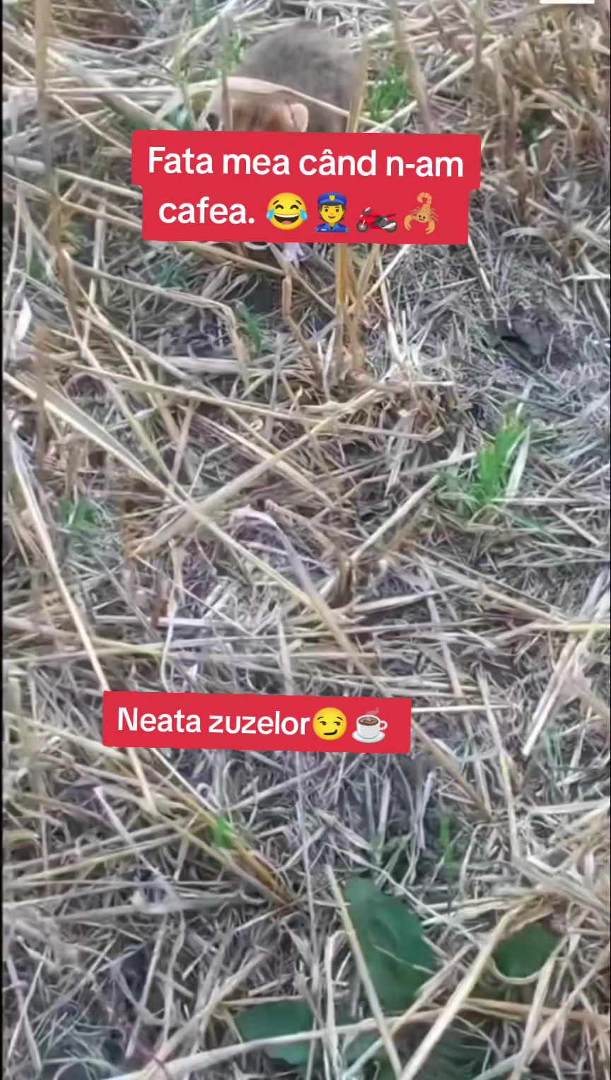 @🦂Cryss🦂23🦂Sublimul☑️🦂😉