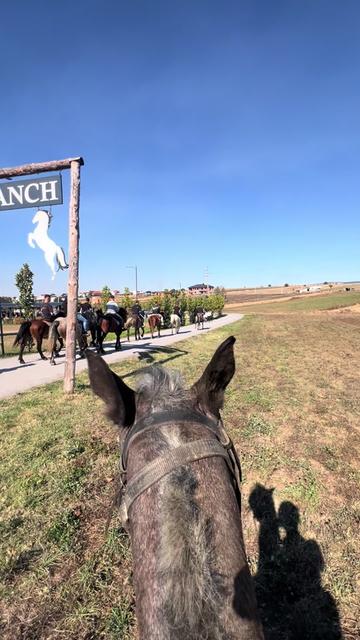 @BERTI RANCH 🐎
