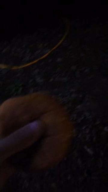 @Spoonz