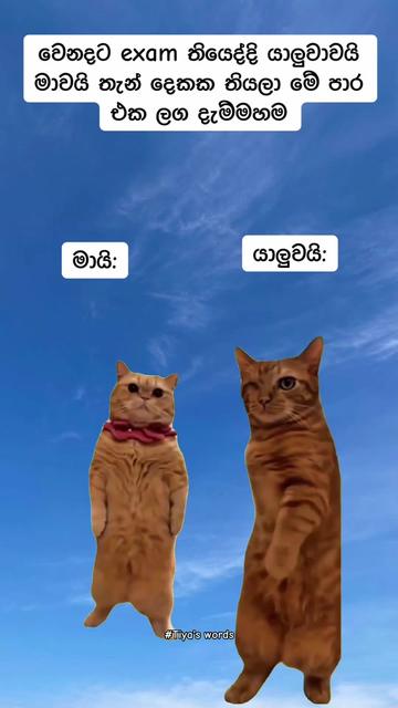 @๐