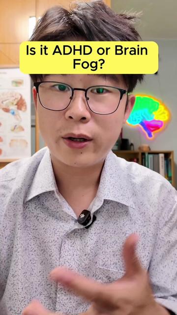 @Dr. Tommy Pang | Brain Fog Dr