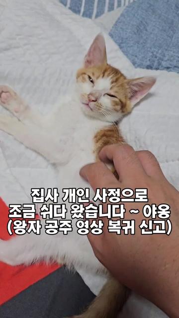 @๐ฉ์ด์์ฌ×234๐ฉ