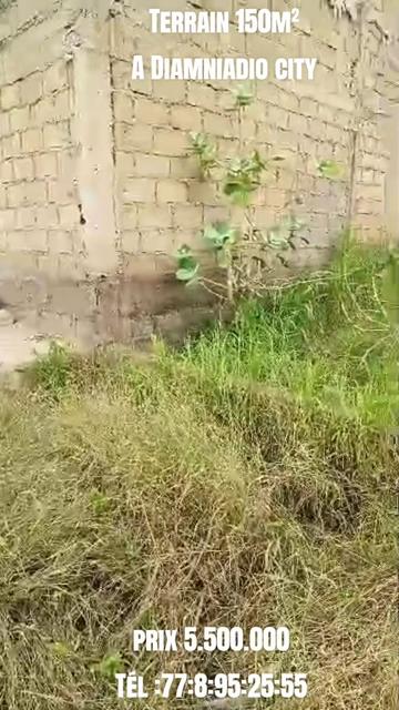 @Sénégal dakar habitat 🇸🇳