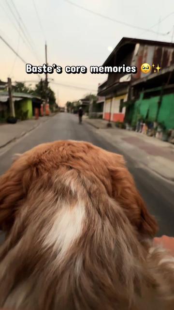 @Baste