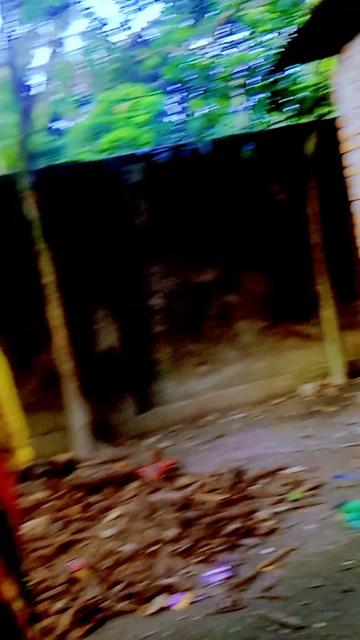 @🦋🌺প্রজাপতি🌺🦋