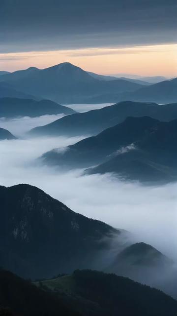 @陳德