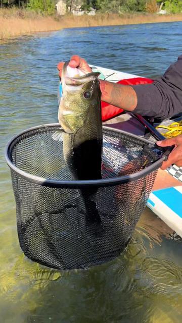 @Smokinbassfishing