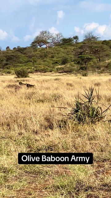 @Solo.Africa.Overland