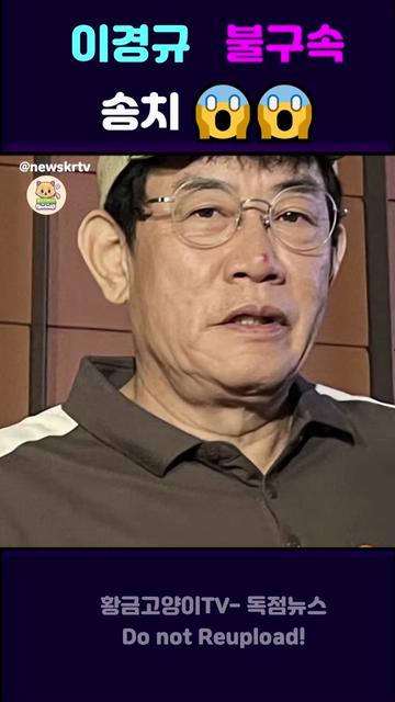 @황금고양이TV