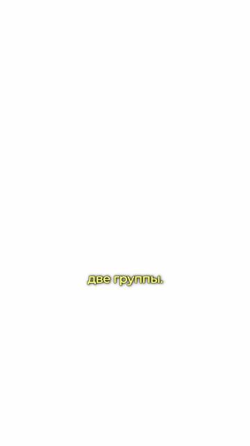@Захар