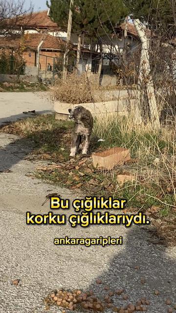 @Asiye