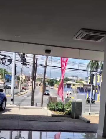@Isuzu Jamaica