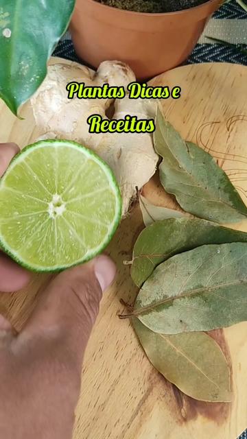 @natureza e saúde