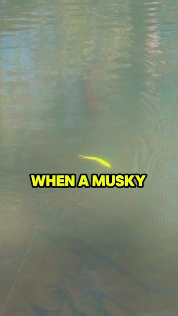 @Dkam Fishing (NJ)
