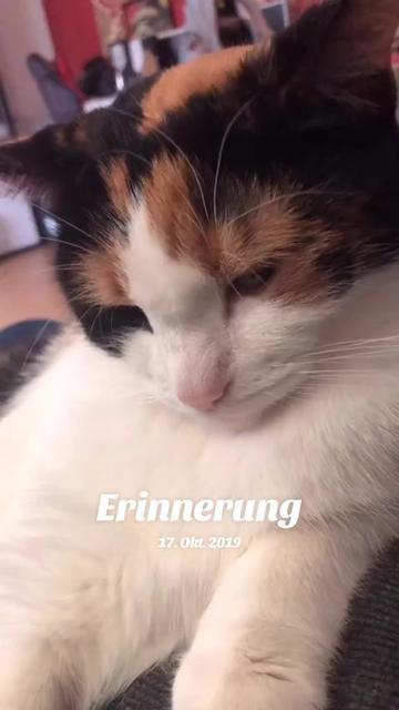 @Paulisbuntewelt