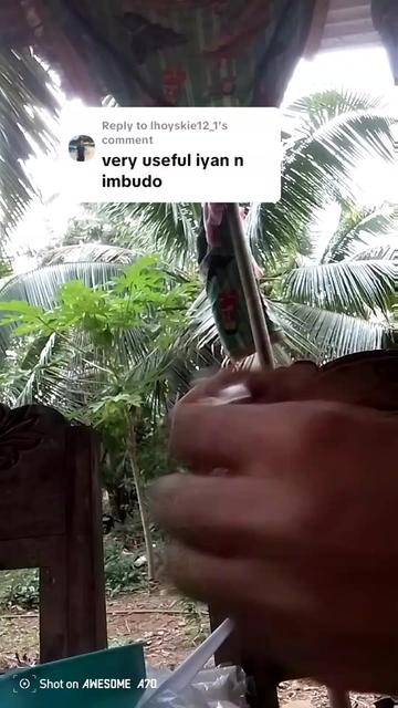 @Evelyn Cornetes
