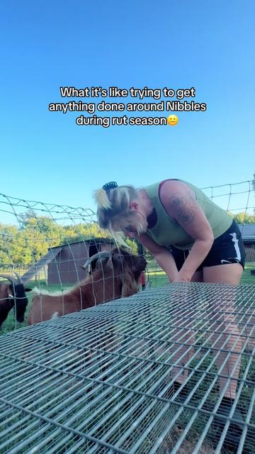 @Momma Tay🐐🐓👩🏼🌾💕