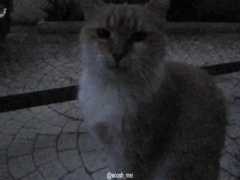 @𝓶𝓪𝓲𝓲✮⋆˙♡