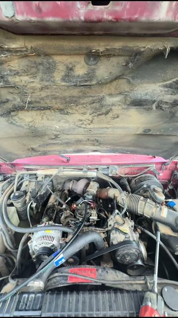 @The Backyard Mechanic