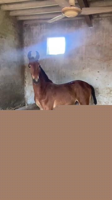 @Hayat Raza