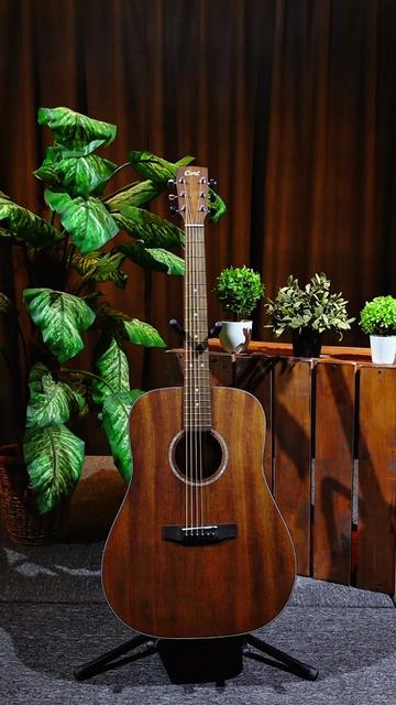 @Wooi Music
