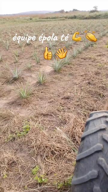 @Kartouma