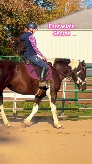 @Free Spirit Equestrian