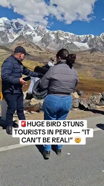 @watch.prism