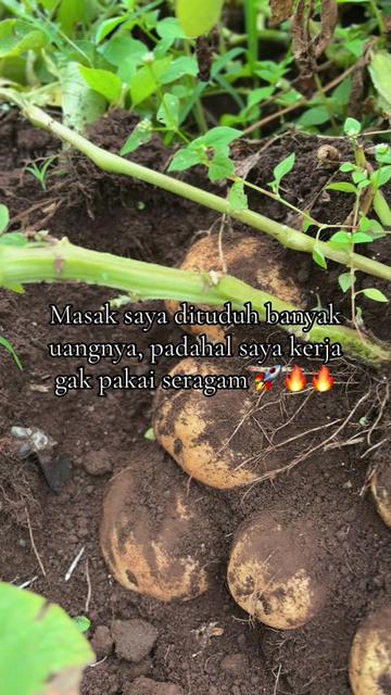 @nanda_setiawan_