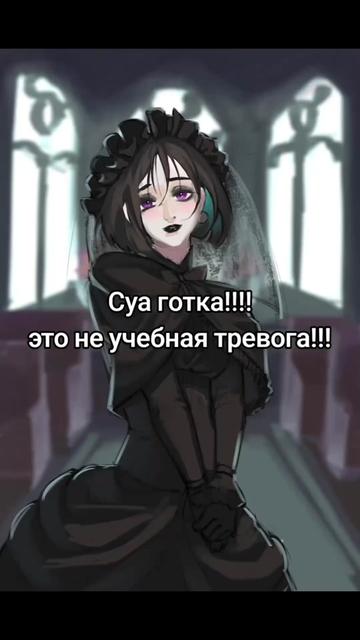 @popipo
