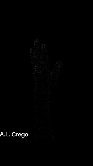 @S0L - Digital Art Curated
