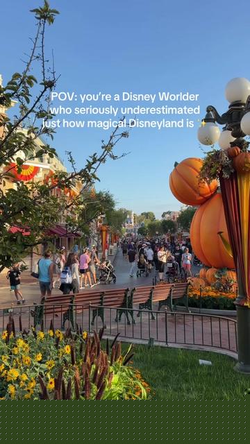 @Rachel 🇬🇧 ➡️ ✨🌴🎢 🇺🇸🐭