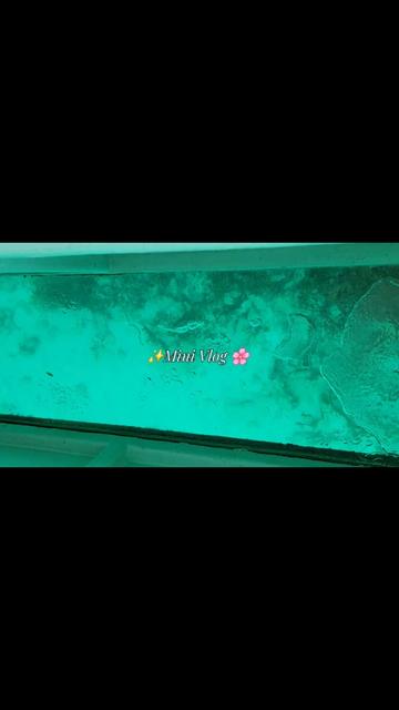 @Karina 🎗🥀