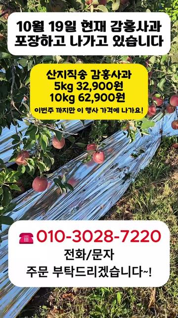 @프루트빌리지