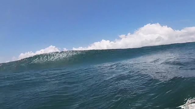 @oscarcc_surfs