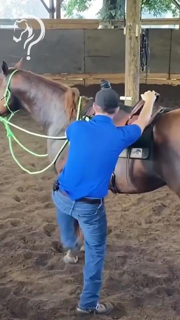 @Horse Help