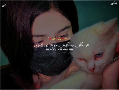 @°جونـــــی٘𓇢𓆸