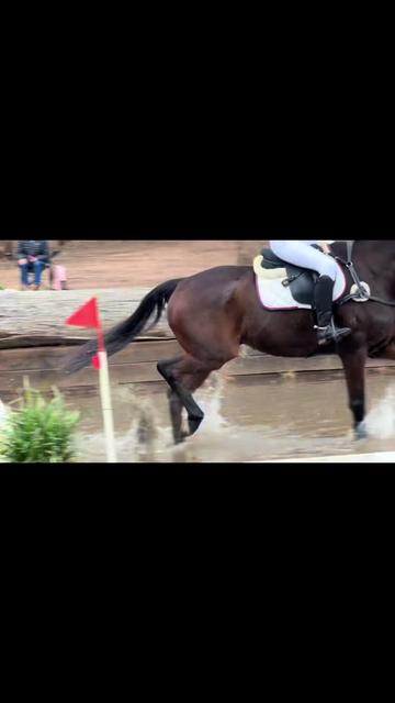 @Lyla_eventing
