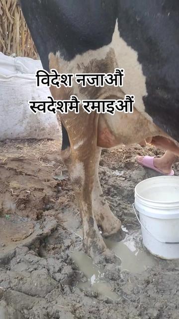 @Bhakta Lal Shrestha