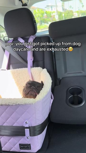 @Mabel the Frenchie