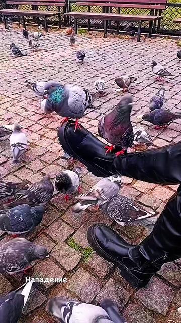 @🎀Танюшка🎀