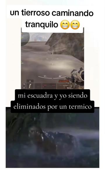 @gato de combate