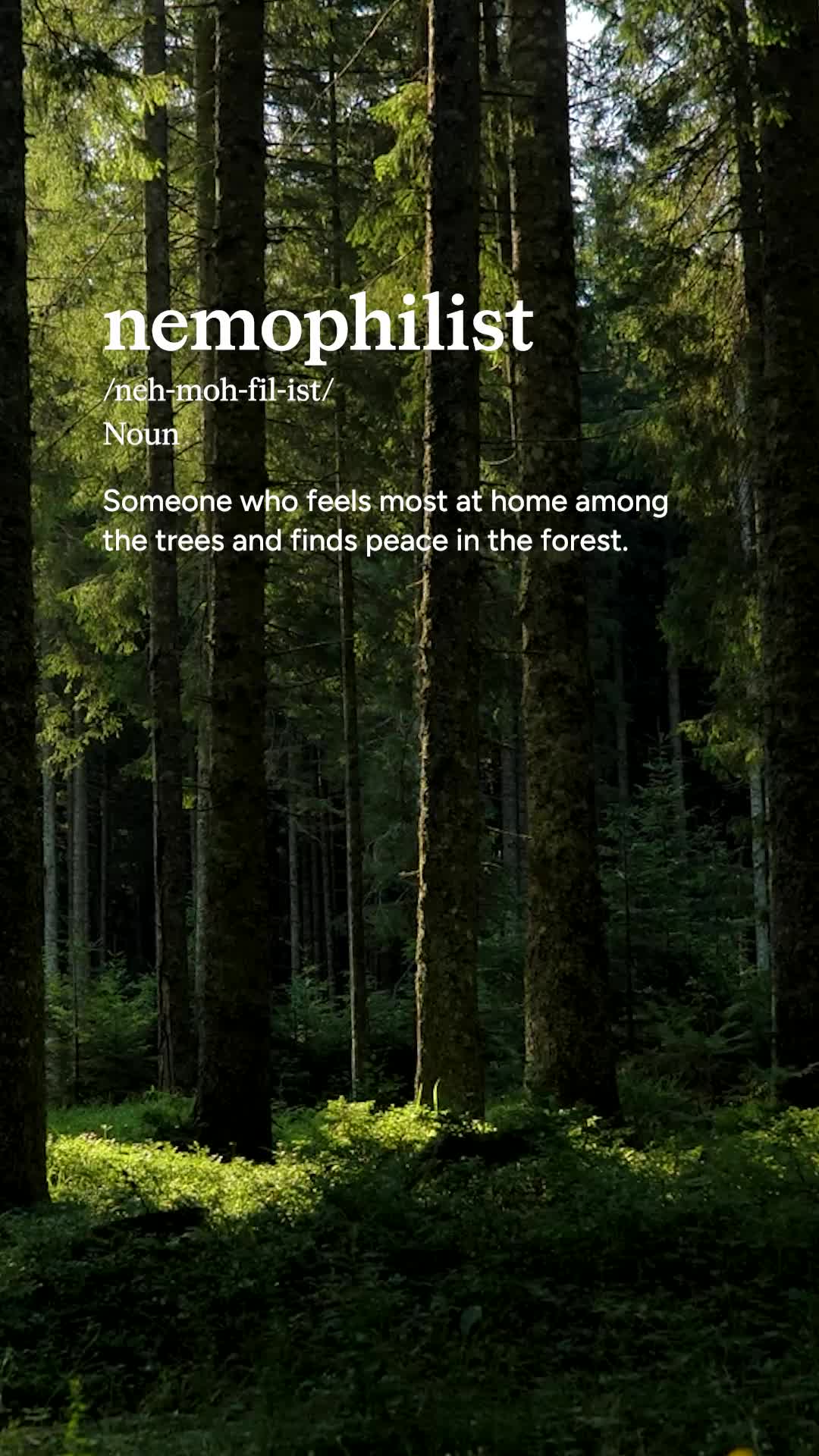 @Calm