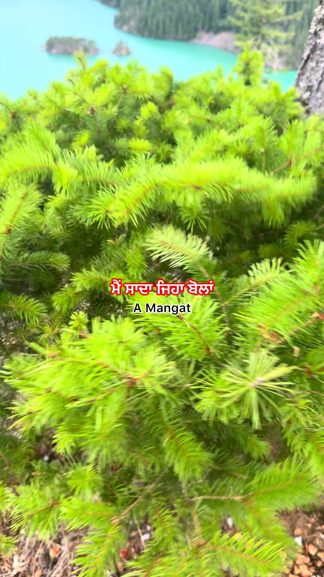 @A Mangat