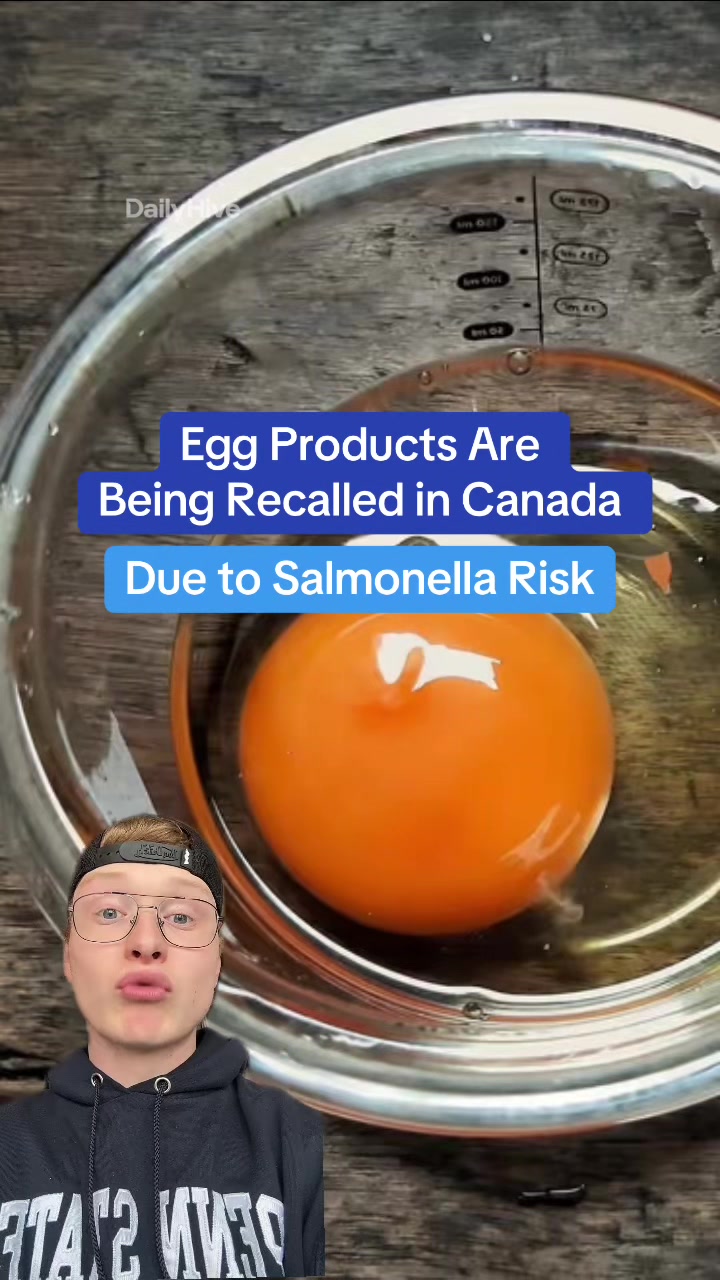 @dailyhivecanada