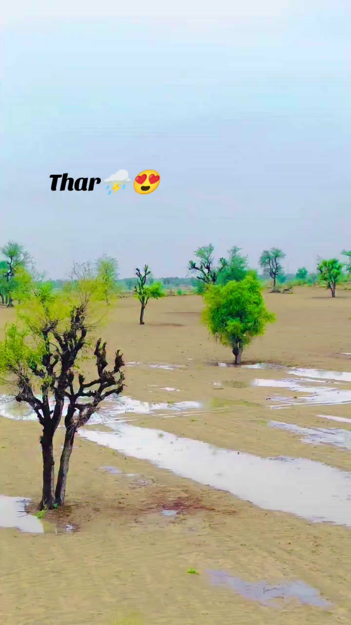 @فوزيه سومرو🥀❤️