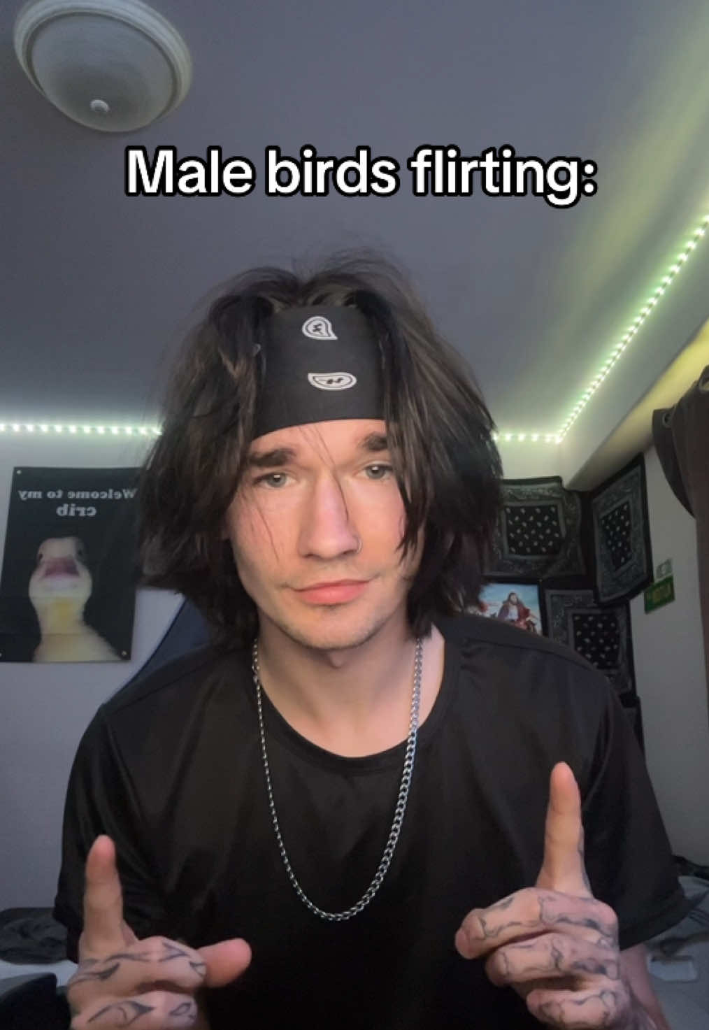 @Tynan (uh.idk.uh)