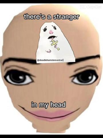 @doodlehamster